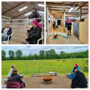 Bilder från workshop med hästen som lärare