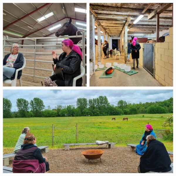 Bilder från workshop med hästen som lärare