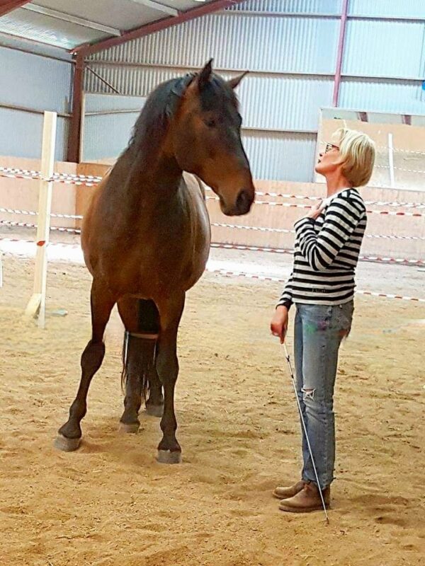 Horse & Soul Retreat - Bild 4