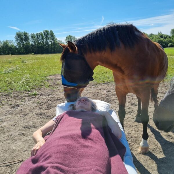 TRable top healing, häst ger healing åt en person, utomhus