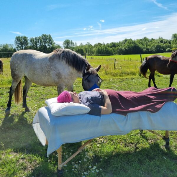 Privatsession med hästarna - Bild 3