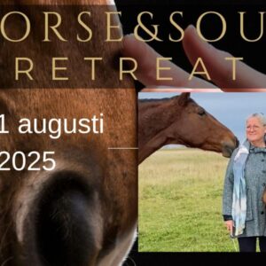 Horse & Soul Retreat 29-31 augusti