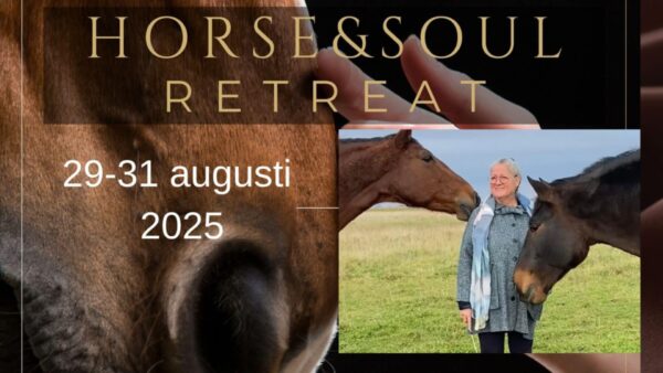 Horse & Soul Retreat 29-31 augusti